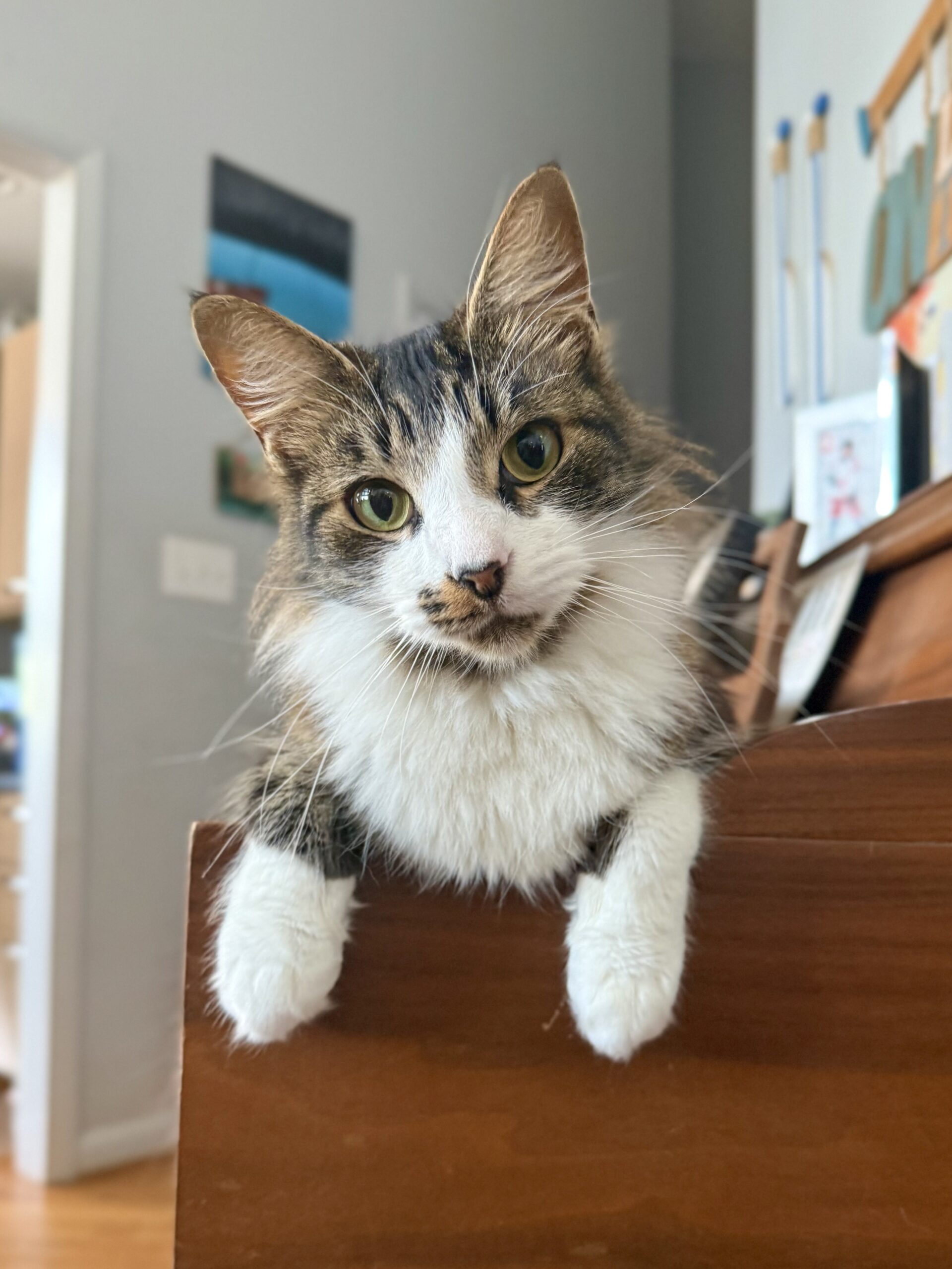 img 0818 (1)