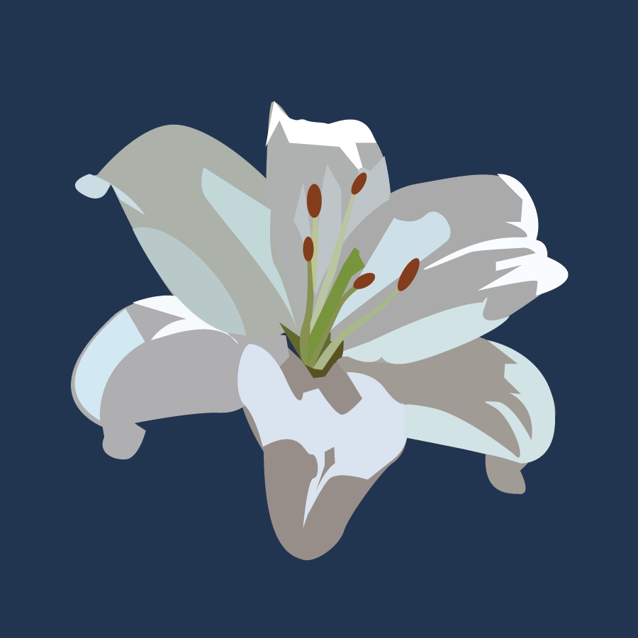 zaragoza icon exercise 02